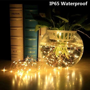 May include: Copper wire string lights with warm white LED bulbs wrapped around a glass vase with a plant inside. The lights are waterproof and have an IP65 rating.