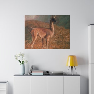 Jacques Laurent Agasse, Guanaco image 6