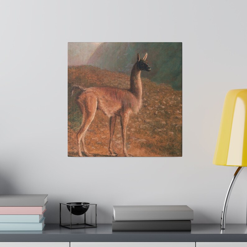 Jacques Laurent Agasse, Guanaco image 1