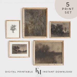 May include: Set of five digital printable art prints featuring black and white landscape illustrations in a minimalist style. The prints are framed in a light wood frame and displayed on a white wall.