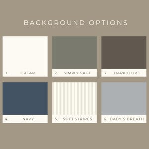 May include: Image showcasing six background options with color swatches. The options include cream, simply sage, dark olive, navy, soft stripes, and baby's breath. The text "BACKGROUND OPTIONS" is at the top.