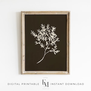 Olive Branch Art Print Olive Branch Etching Print Olive Neutral Wall Art Botanical Sketch Printable Art Olive Illustration Cottage Decor