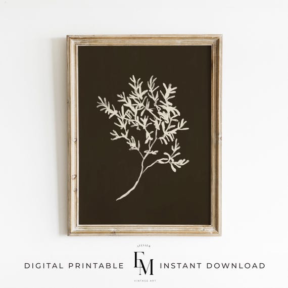Olive Branch Art Print Olive Branch Etching Print Olive Neutral Wall Art Botanical Sketch Printable Art Olive Illustration Cottage Decor