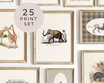 Safari Gallery Wall Art Set of 25 Print Safari Animal Nursery Print Jungle Adventure Printable Gallery Decor Kids Room Playroom Safari Theme