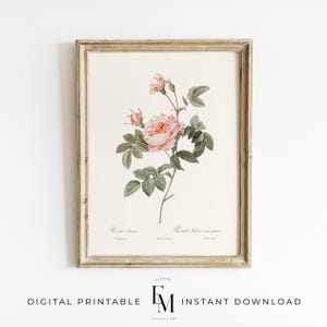 Impresión de rosa vintage, póster de flores antiguas, decoración de pared de rosas florales vintage, arte de pared de rosas antiguas, impresión de jardín inglés floral rosa, decoración para niñas