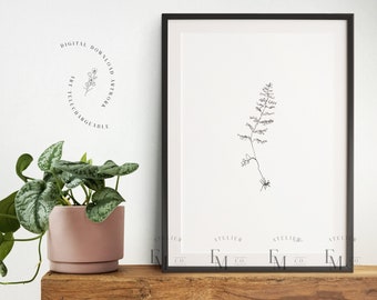 Botanical Line Drawing Art Print, Modern Botanical Line Art, Scandinavian Art Prints, Neutral Modern Wall Art Decor, Digital Download