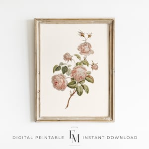 Póster botánico con estampado floral vintage de rosas y flores antiguas, estampado de jardín inglés con rosas vintage, decoración moderna para niñas.