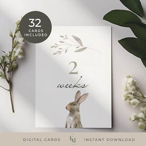 Ensemble de cartes d'étapes pour bébés Cartes de bébé lapin Cartes d'étapes imprimables pour bébés Lapin de sexe neutre Carte d'étape importante pour bébés Cadeau de baby shower des bois