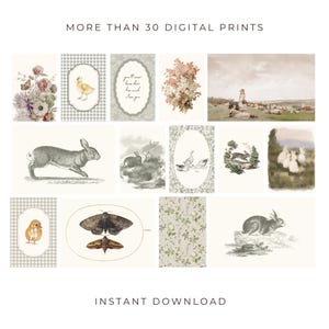 May include: A selection of over 30 digital prints with vintage illustrations. The prints include floral arrangements, animal drawings, and pastoral scenes. The text "MORE THAN 30 DIGITAL PRINTS" and "INSTANT DOWNLOAD" are displayed.
