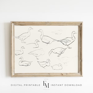 Vintage Geese Nursery Wall Print Duck Nursery Decor Geese Artwork Nursery Print Gender Neutral Print Abstract Duck Art Nursery Cottage Goose