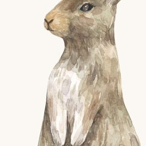 May include: A watercolor painting of a brown rabbit standing in profile. The rabbit features soft, blended brushstrokes in shades of light and dark brown, with a lighter cream-colored chest and a dark, expressive eye facing toward the left.