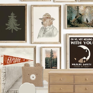Perfect gift collection for young explorers and nature kids