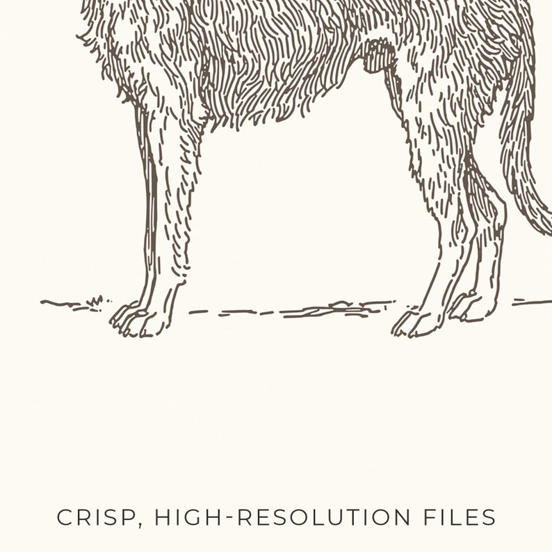 Pu&ograve; includere: Un disegno a tratto dettagliato di un cane, probabilmente un Irish Wolfhound, in posizione eretta. L'opera d'arte &egrave; in tonalit&agrave; marroni su sfondo crema. Il testo "CRISP, HIGH-RESOLUTION FILES" &egrave; in basso.