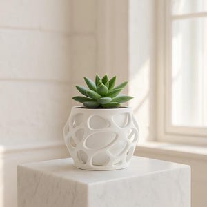 Op de afbeelding: Een groene vetplant in een witte keramische pot met open structuur. De pot staat op een witte marmeren kubus. De achtergrond is zacht en neutraal van kleur, met een raam aan de rechterkant.
