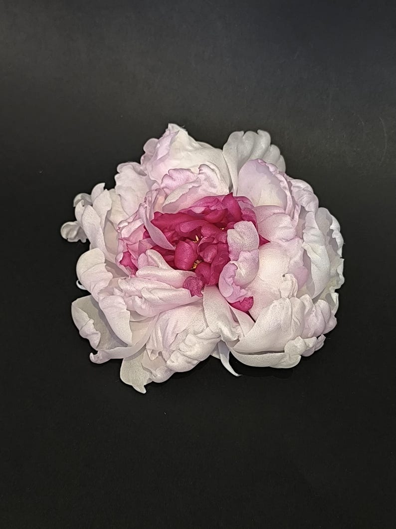 May include: A single pink and white peony flower with a deep pink center. The flower is in full bloom and has a delicate, ruffled appearance.