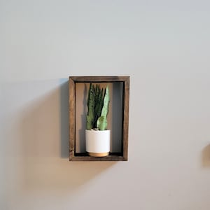 Plant Shelf, Plant Shelves, Floating Shelf, Floating Plant Shelf