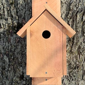 Cedar blue bird house