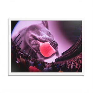 Phish &#39;The Sphere&#39; (You Enjoy Myself) Framed Pictures/Posters - Live Concert, Jam Band Fan, Wall Artwork, Shows, Images, Trey Anastasio, YEM