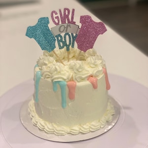 Human Baby Gender Reveal Cake ...FOR DOGS, Special Occasion, Gender Reveal, Dog Party, Dog Treat, Dog Bakery, Natural Dog Treat, Dog Parents