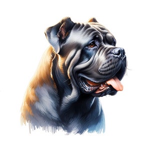 Clipart de perro Cane Corso - 10 archivos JPG de alta calidad - Descarga digital - Fabricación de tarjetas, Clip Art, Manualidades digitales con papel, Licencia comercial