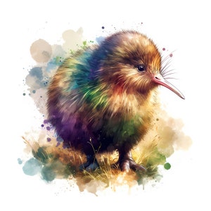 Kiwi Bird Clipart - 10 JPGs de alta qualidade, arte de parede, álbum de recortes, diários de lixo, planejadores digitais, download digital, licença comercial