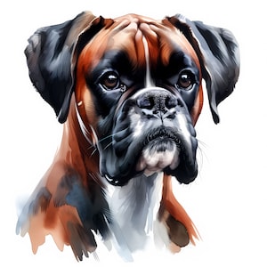Boxer Hund Clipart - 10 hochwertige JPGs - Digital Download - Kartenherstellung, Clip Art, digitales Papiermodell, kommerzielle Lizenz