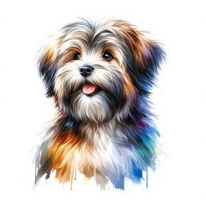 Tibetan Terrier Dog Clipart - 10 High Quality JPGs - Digital Download - Card Making, Clip Art, Digital Paper Craft, Commercial License