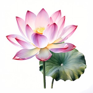 Clipart di fiori di loto / 10 JPG di alta qualità / Pacchetto clipart / Arte murale / Lavori di carta / Stampe digitali / Uso commerciale