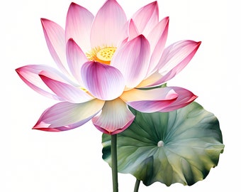 Lotus Flower Clipart | Floral JPGs (Digital Download
