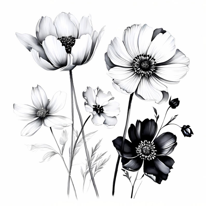 Black and White Flowers Clipart 12 High-quality Jpgs Sketches Flowers ...