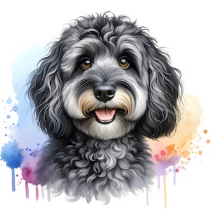 Black and Grey Cockapoo-clipart - 11 hoogwaardige jpg's - digitale download - kaarten maken, digitale papierkunst, commerciële licentie