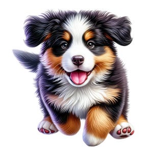 Berner Sennenhund Clipart | 11 hochwertige Designs | Niedliches Berner Sennenhund Welpen Set | Welpen Kunst | Tierliebhaber | Digitaler Download