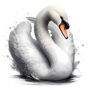Schwan Clipart | 12 hochwertige JPGs | Schwan Clipart Bundle | Wandkunst | Wildtiere Kunst | Drucksachen | Kommerzielle Nutzung