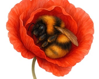 10 Sleepy Bee Clipart Bundle, Bumblebee Nursery Art (PNG Digital Download)