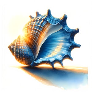Clipart de conchas azules / 12 archivos JPG de alta calidad / Paquete de imágenes de conchas coloridas / Temática oceánica / Arte mural / Manualidades de papel / Impresiones digitales