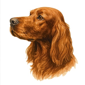 Pode incluir: Ilustração em aquarela da cabeça de um cão Setter irlandês em perfil. O cão tem uma pelagem rica, marrom avermelhada, um nariz escuro e olhos castanhos expressivos. A obra de arte é definida em um fundo branco limpo, destacando as características do cão.