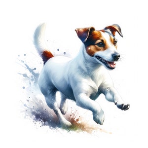 Jack Russell Terrier-hond Clipart - 10 hoogwaardige JPG's - Clipartbundel - Wall Art - Paper Craft - Digitale download - Commercieel gebruik