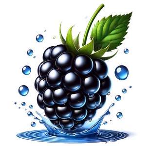 Imágenes prediseñadas de moras / 11 archivos JPG de alta calidad / Paquete de imágenes de moras realistas y vívidas / Arte de frutas / Arte culinario / Imprimible / Uso comercial