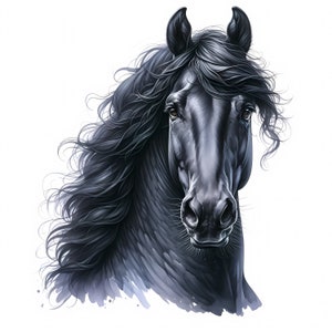 Clipart di cavallo frisone / 11 JPG di alta qualità / Stupendo pacchetto di clipart di cavallo frisone nero / Arte equina / Materiali stampabili / Uso commerciale
