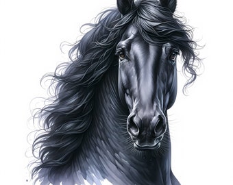 Friesian Horse Clipart | 11 High-Quality JPGs | Stunning Black Friesian Horse Clipart Bundle | Equine Art | Printables | Commercial Use