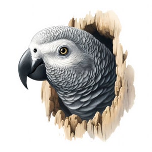 Clipart grijze papegaai | 12 hoogwaardige JPG's | Prachtige grijze papegaai clipartbundel | Muurkunst | Exotische vogelkunst | Afdrukbaar | Commercieel gebruik
