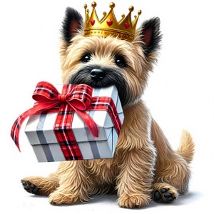 Clipart de aniversário de Cairn Terrier | 10 JPGs de alta qualidade | Pacote de aniversário de Cairn Terrier | Arte de aniversário de cachorro | Criação de cartões | Uso comercial