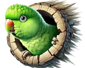 Indian Ringneck Parakeet Clipart | Bird Art Printables (Digital Download) Set of 11 JPGs