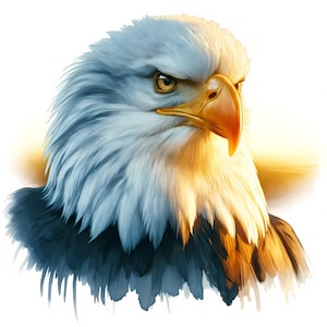 Paquete de imágenes prediseñadas de águila calva majestuosa / 11 archivos JPG de alta calidad / Retrato de águila calva / Arte de águila americana / Manualidades de papel / Uso comercial