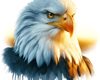 May include: A close-up of a bald eagle's head and neck. The eagle has a white head and neck with a yellow beak. The eagle's eyes are dark and intense. The background is a soft, blurred white.