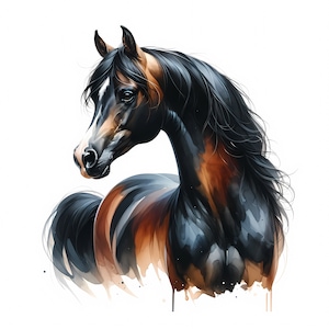 Clipart cheval arabe | 10 fichiers JPG de haute qualité | Lot majestueux cheval arabe | Aquarelle | Art mural | Décoration équine | Utilisation commerciale