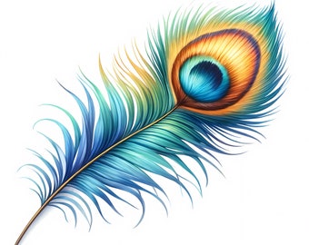 Vibrant Peacock Feather Clipart | Boho Art Printables (Digital Download) Set of 10 JPGs