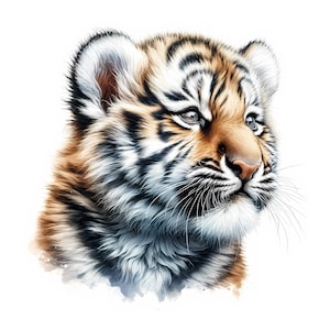 Clipart di cuccioli di tigre / 10 JPG di alta qualità / Pacchetto di clipart di cuccioli di tigre carini / Arte murale / Decorazioni per la cameretta dei bambini / Tigrotto / Uso commerciale