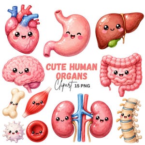 May include: A collection of 15 digital illustrations of human organs including a heart, stomach, liver, brain, intestines, bone, muscle, kidneys, spine, and blood cells, each featuring a smiling face with black eyes and pink cheeks.