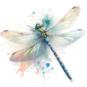 Libélula Clipart | 12 JPGs de alta qualidade | Pacote de clipart de libélulas coloridas | Arte de parede | Arte de insetos | Imprimíveis | Uso comercial